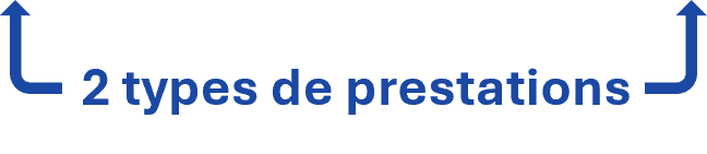 deux types de prestations chez Numersalis